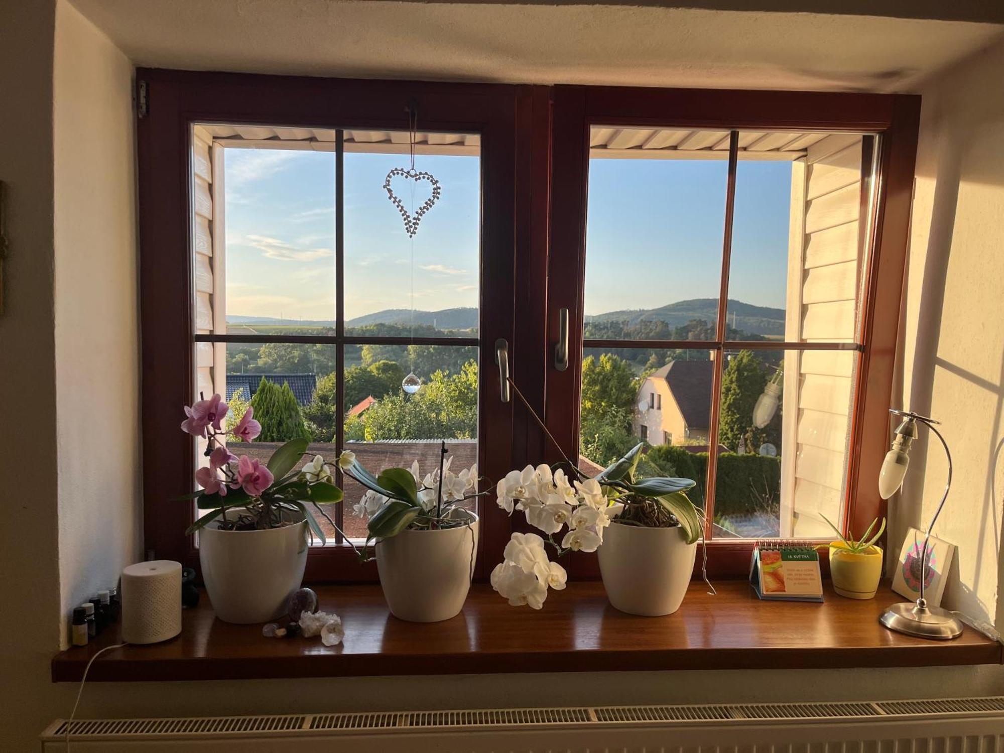 Villa Cat'S House- Dum U Trech Kocek Zdice Esterno foto