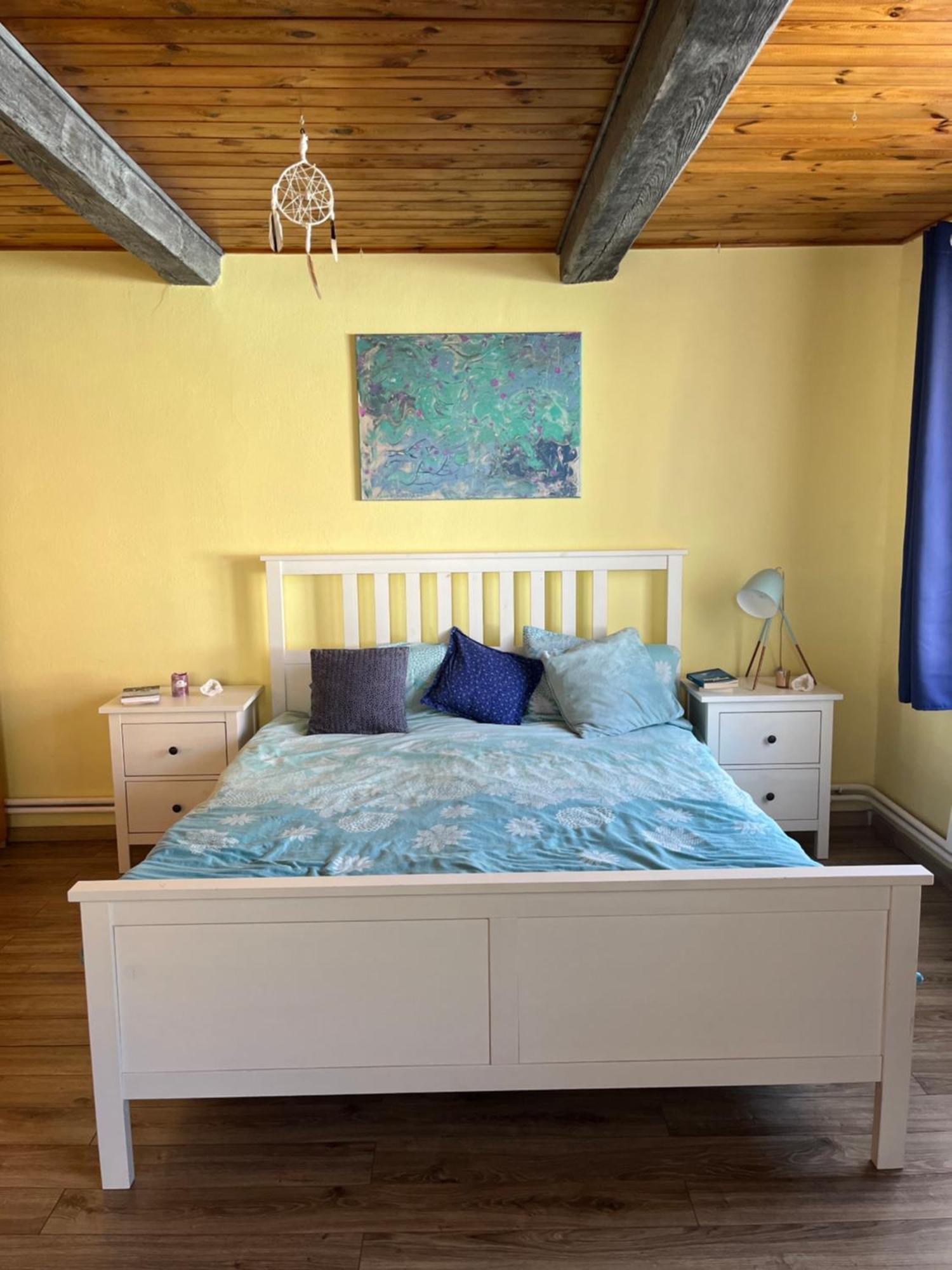 Villa Cat'S House- Dum U Trech Kocek Zdice Esterno foto